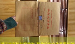 湛江市高校档案查询_释放校史文化重要价值