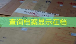 查询档案显示在档