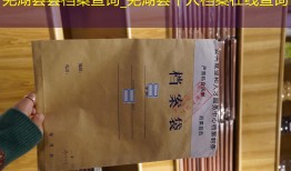 芜湖县县档案查询_芜湖县个人档案在线查询