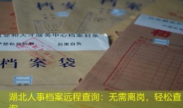 湖北人事档案远程查询：无需离岗，轻松查询
