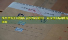 档案查询形成报告_延续档案查询，完成查询结果报告撰写。