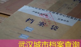 武汉城市档案查询