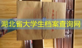 湖北省大学生档案查询网