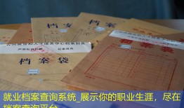 就业档案查询系统_展示你的职业生涯，尽在档案查询平台