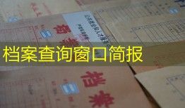 档案查询窗口简报