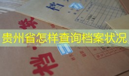 贵州省怎样查询档案状况