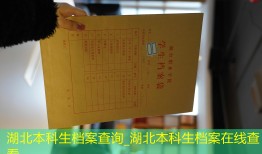 湖北本科生档案查询_湖北本科生档案在线查看