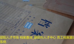 邵阳人才市场 档案查询_邵阳市人才中心 员工档案查询系统