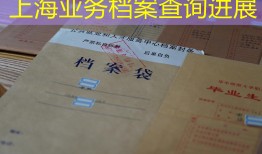 上海业务档案查询进展