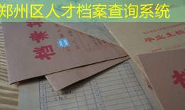 郑州区人才档案查询系统