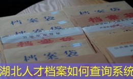 湖北人才档案如何查询系统