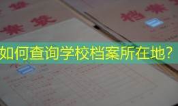 如何查询学校档案所在地？