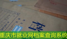 重庆市就业网档案查询系统
