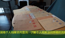 湖南个人档案去向查询：了解个人档案退回原籍的流程