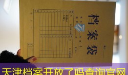 天津档案开放了吗查询官网