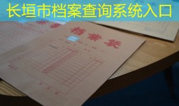 长垣市档案查询系统入口