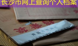 长沙市网上查询个人档案