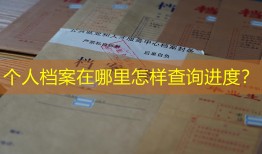 个人档案在哪里怎样查询进度？