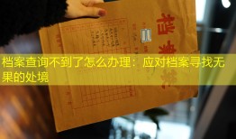 档案查询不到了怎么办理：应对档案寻找无果的处境