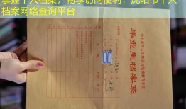 掌握个人档案，畅享访问便利：沈阳市个人档案网络查询平台