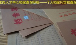 龙岗人才中心档案查询系统——个人档案托管和查询