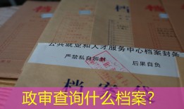 政审查询什么档案？
