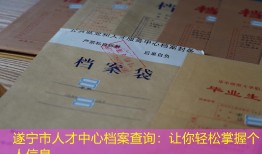 遂宁市人才中心档案查询：让你轻松掌握个人信息