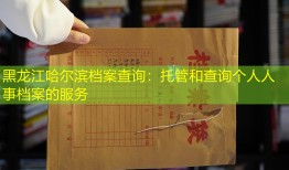 黑龙江哈尔滨档案查询：托管和查询个人人事档案的服务
