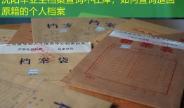沈阳毕业生档案查询不在库，如何查询退回原籍的个人档案