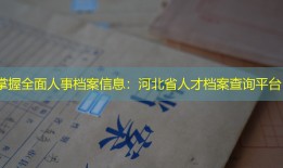 掌握全面人事档案信息：河北省人才档案查询平台