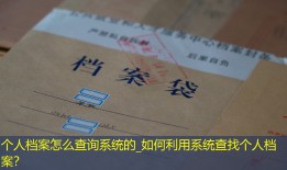 个人档案怎么查询系统的_如何利用系统查找个人档案？