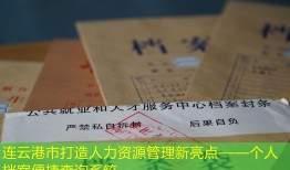 连云港市打造人力资源管理新亮点——个人档案便捷查询系统