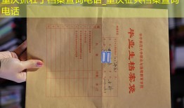 重庆抓壮丁档案查询电话_重庆征兵档案查询电话