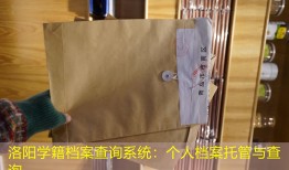 洛阳学籍档案查询系统：个人档案托管与查询