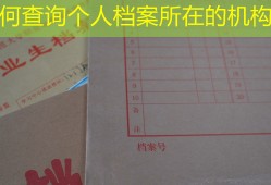 如何查询个人档案所在的机构？