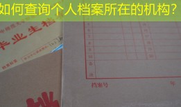 如何查询个人档案所在的机构？