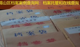 锡山区档案案例查询网：档案托管和在线查询