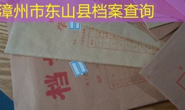 漳州市东山县档案查询