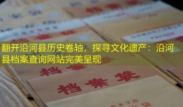 翻开沿河县历史卷轴，探寻文化遗产：沿河县档案查询网站完美呈现