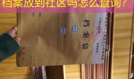 档案放到社区吗怎么查询？