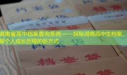 湖南省高中档案查询系统——探秘湖南高中生档案，了解个人成长历程的新方式