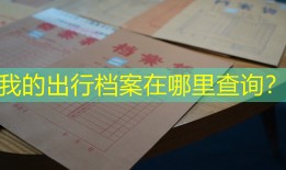 我的出行档案在哪里查询？