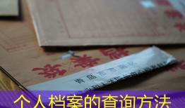 个人档案的查询方法