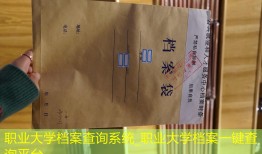 职业大学档案查询系统_职业大学档案一键查询平台