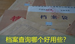 档案查询哪个好用些？