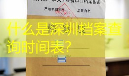 什么是深圳档案查询时间表？