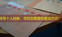 探寻个人档案：寻找您需要的查询方式！
