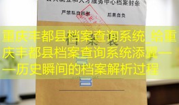 重庆丰都县档案查询系统_给重庆丰都县档案查询系统添翼——历史瞬间的档案解析过程