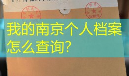 我的南京个人档案怎么查询？
