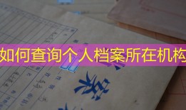 如何查询个人档案所在机构